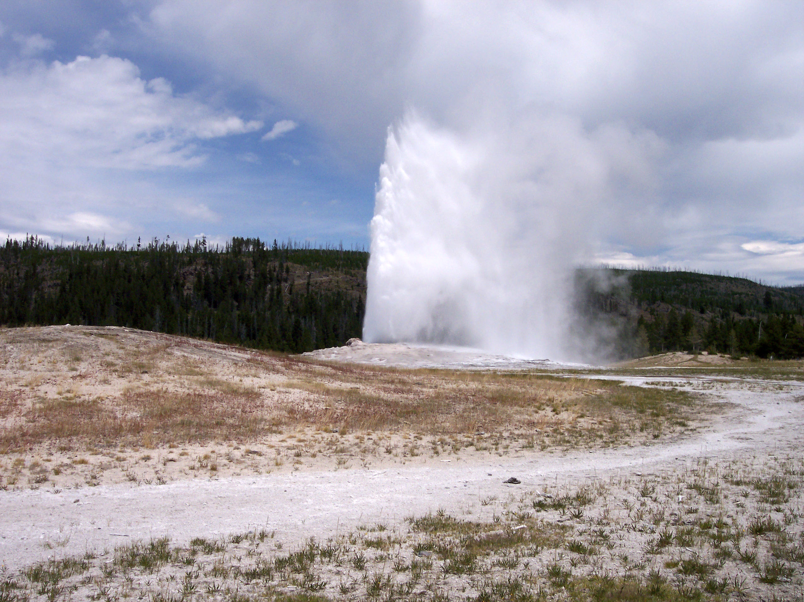 Old Faithful in Yellowstone National Park 